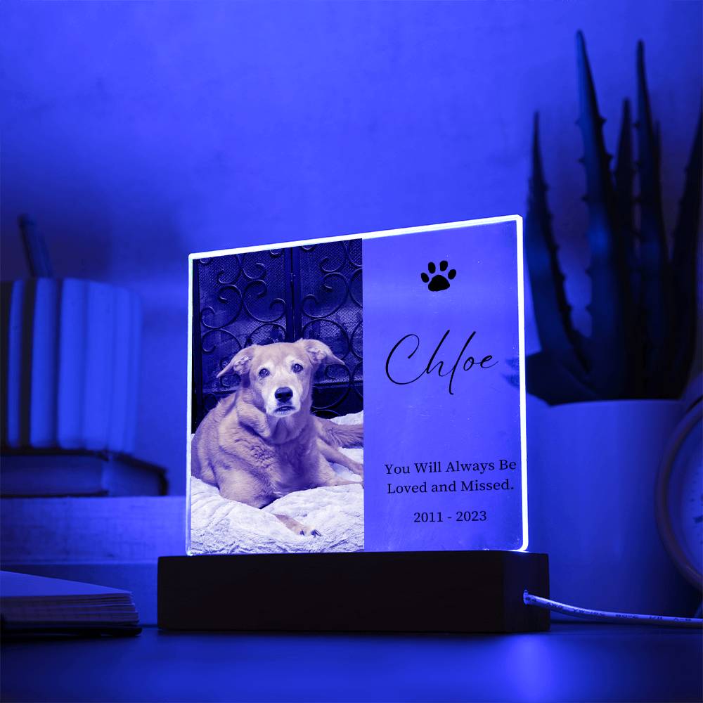 Pet Memorial Custom Acrylic Decor Sign | Personalized Bedroom LED Night Light Option - Danielle and Jason Baker LLC - Danielle Baker's Boutique