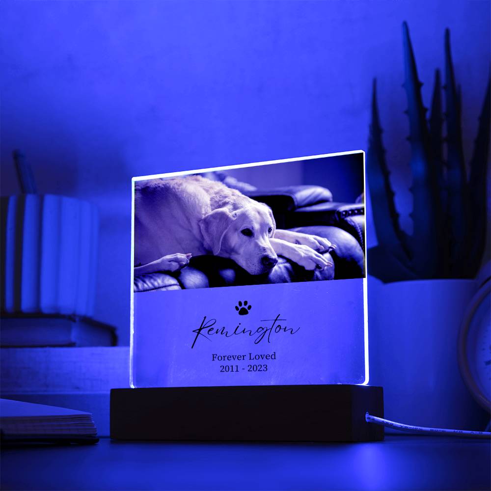 Pet Memorial Custom Acrylic Decor Sign | Personalized Bedroom LED Night Light Option - Danielle and Jason Baker LLC - Danielle Baker's Boutique